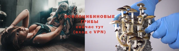 кокс Алзамай