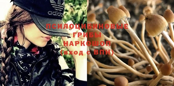 гашиш Алексеевка