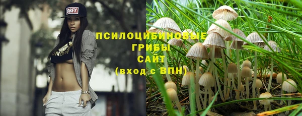 ешки Алексин