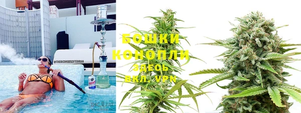 ешки Алексин