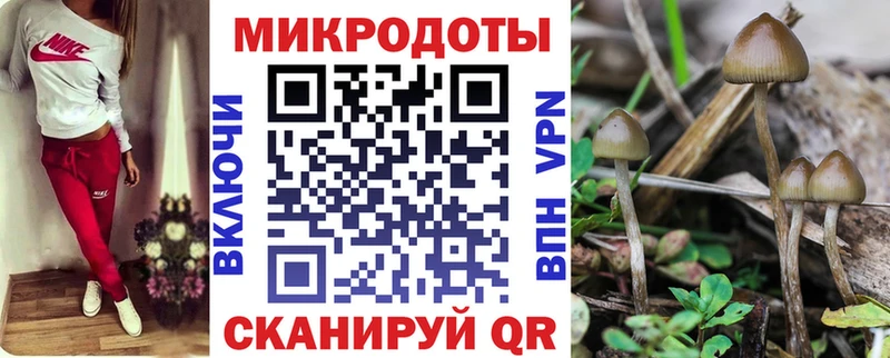 ОМГ ОМГ как войти  где купить наркоту  Томари  Галлюциногенные грибы мухоморы 